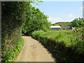 SU8028 : Langley Farm Road, near Liss by Malc McDonald