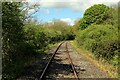 NZ1431 : Weardale Railway at Witton-le-Wear by Chris Heaton