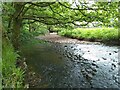 NS5574 : Allander Water by Richard Sutcliffe