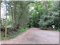 SU8438 : Public bridleway, Churt, near Farnham by Malc McDonald