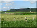 NT7045 : Newly cut grass for silage at Greenlaw by M J Richardson