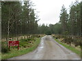 NH9111 : Driveway on the Rothiemurchus Estate, near Aviemore by Malc McDonald