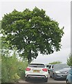 TM2341 : Suffolk Show traffic blocking the lane to Bucklesham by Christopher Hilton