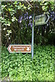 TM0179 : Signpost on Thelnetham Road by Geographer