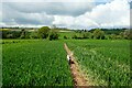 SO5590 : The Shropshire Way near Holdgate by Jeff Buck