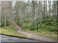 NH9022 : Path into woodland, Carrbridge, near Aviemore by Malc McDonald