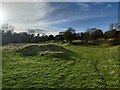 SO6199 : Disused limestone quarry near Leasow Field by Mat Fascione