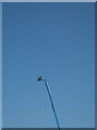 J3574 : Cherry picker, Belfast by Rossographer