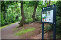 TQ4778 : Visitor Board, Lesnes Abbey Woods by Des Blenkinsopp