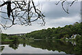 NZ3456 : River Wear at Stony Heugh by Chris Heaton