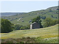 SD9197 : Barn in wildflower meadow near Muker by Chris Holifield