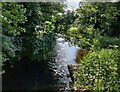 SO8379 : River Stour near Wolverley by Mat Fascione