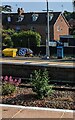 SO8005 : Weeds between the tracks, Stonehouse station by Jaggery