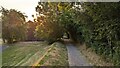 SN0613 : Cycle track at Bluestone by TCExplorer