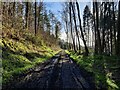 SO5695 : Former railway line at Wenlock Edge by Mat Fascione