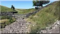  : Dry streambed of Newton Gill east of Little Newton by Luke Shaw