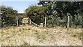 NY7912 : Stone post in corner of field on east side of A685 and north side of River Belah by Roger Templeman