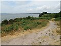 SY9790 : Path on Ham Common, Poole by Malc McDonald