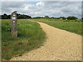 SY9992 : Path in Upton Country Park, near Poole by Malc McDonald