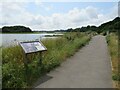 SZ0092 : Path alongside Holes Bay, near Poole by Malc McDonald