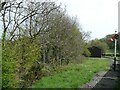 SN6479 : The approach to Capel Bangor station, Vale of Rheidol by David Smith