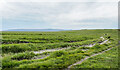 SD9562 : Grassy moorland at Boss Moor by Trevor Littlewood