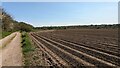 TL9726 : Newly Planted Potatoes near Lexden Lodge by Sandy Gerrard