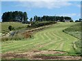 NU0026 : Field and road below Coldmartin Farm by Oliver Dixon