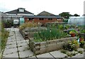 NS5070 : Community garden, Melfort Park by Richard Sutcliffe