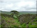 SE0298 : Maiden Castle, Swaledale (2) by Stephen Craven