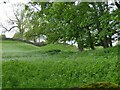 SE0398 : Grinton-Fremington Dyke above Low Lane by Stephen Craven