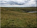 SN7868 : Looking towards Llyn Teifi by David Medcalf