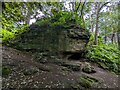 SK0842 : Rocky outcrop in Park Banks woodland by TCExplorer