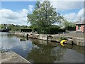 SJ4077 : Stop gates at Ellesmere Port by Christine Johnstone