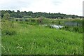 SP0950 : River Avon near Marlcliff by Philip Halling