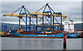 J3678 : The 'Nordic Hamburg' at Belfast by Rossographer