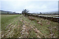 SD8070 : Sunken track abandoned by footpath by Andy Waddington