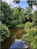 SO5075 : The River Corve on the edge of Ludlow by Mat Fascione