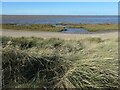 TA4213 : The foreshore, Wyke Bight, Spurn by Christine Johnstone