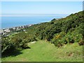 SH6116 : Path above Barmouth by Malc McDonald