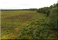 NS6497 : Flanders Moss NNR by Richard Sutcliffe