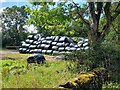 SK3456 : A stack of wrapped hay bales by Ian Calderwood