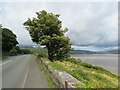 SH6216 : A496 and Mawddach Estuary, near Barmouth by Malc McDonald