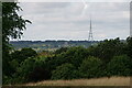 TQ3870 : View Towards Crystal Palace by Peter Trimming