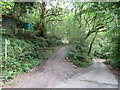 SH6212 : Lane and public footpath near Fairbourne by Malc McDonald