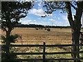 TF4488 : Hay bales and wind turbines by David Lally