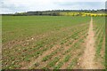 SP0923 : Footpath through an arable field by Philip Halling