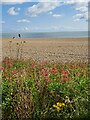 TM4656 : Aldeburgh beach by Helena Hilton