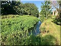 SK4934 : By-Pass Channel (River Erewash) by David Lally