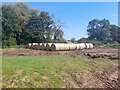 SK2517 : Fresh hay bales by Ian Calderwood